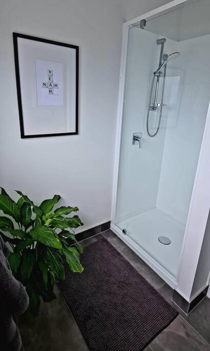 Apartment 4 - Haddin Court - Chic Ny Loft Style Blenheim Eksteriør billede